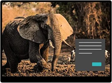 África Oscuro tema para Windows 11