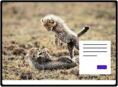 África tema para Windows 11