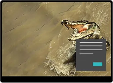 Cocodrilo Oscuro tema para Windows 11