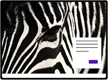 Animal tema para Windows 11