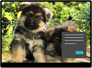 Baby Dieren Donker thema voor Windows 11