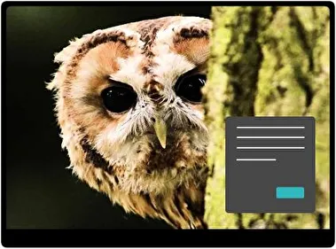 Gestreepte Uil Donker thema voor Windows 11
