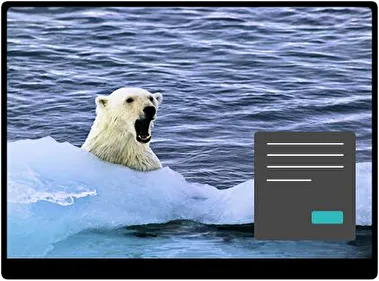 Oso Oscuro tema para Windows 11