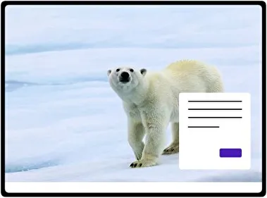 Oso tema para Windows 11
