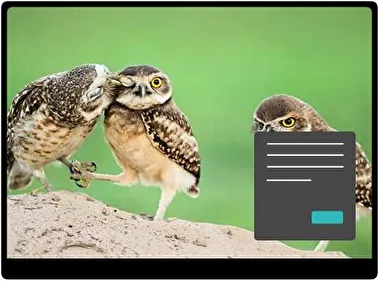 Vogel Donker thema voor Windows 11