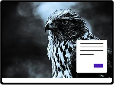 Pájaro tema para Windows 11