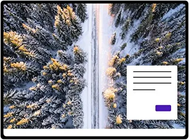 Perspectiva de Aves tema para Windows 11