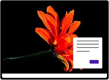 Flores Negras tema para Windows 11