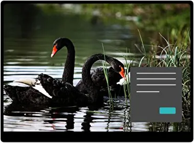 Zwarte Zwaan Donker thema voor Windows 11