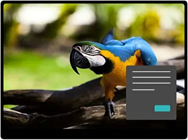 Blauwe en Gele Ara Donker thema voor Windows 11