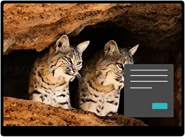 Bobcat Donker thema voor Windows 11