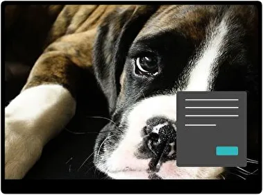 Boxer Donker thema voor Windows 11