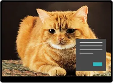 Kat Donker thema voor Windows 11