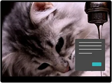 Katten Donker thema voor Windows 11