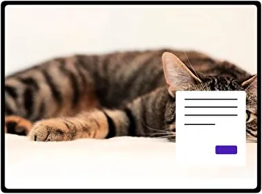 Коти тема для Windows 11