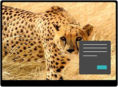 Guepardo Oscuro tema para Windows 11