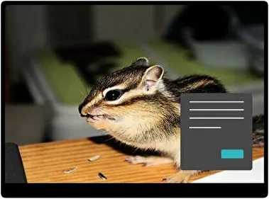 Chipmunk Donker thema voor Windows 11