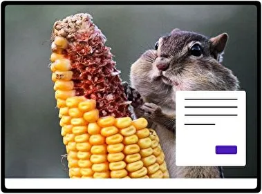 Ardilla listada tema para Windows 11