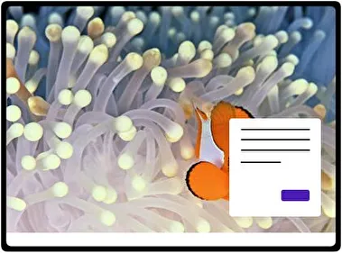 Pez Payaso tema para Windows 11