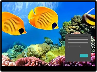 Coral Oscuro tema para Windows 11