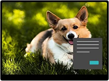 Corgi Donker thema voor Windows 11