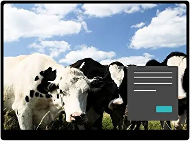 Vaca Oscuro tema para Windows 11
