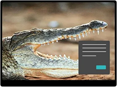 Cocodrilo Oscuro 2 tema para Windows 11