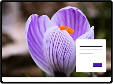 Crocus tema para Windows 11