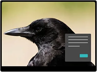 Kruk Ciemny motyw dla Windows 10 i 11