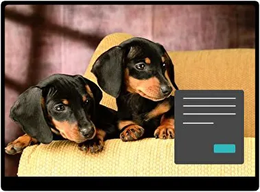 Teckel Donker thema voor Windows 11