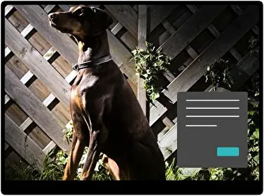 Doberman Ciemny motyw dla Windows 10 i 11