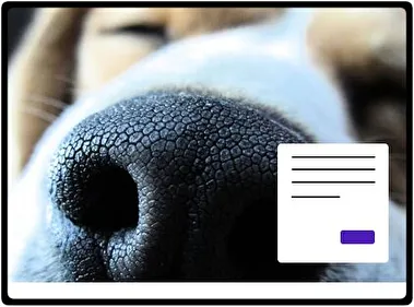Собака тема для Windows 11