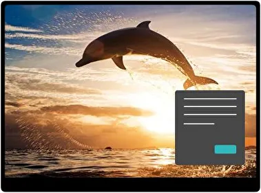 Delfín Oscuro tema para Windows 11