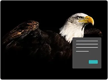 Орлиця Темна тема для Windows 11