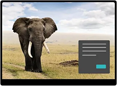 Elefante Oscuro tema para Windows 11