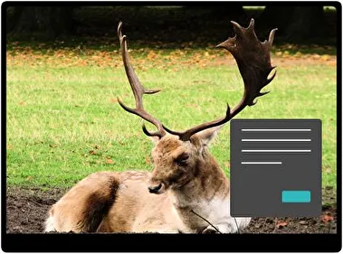 Alces Oscuro tema para Windows 11