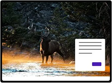 Alces tema para Windows 11