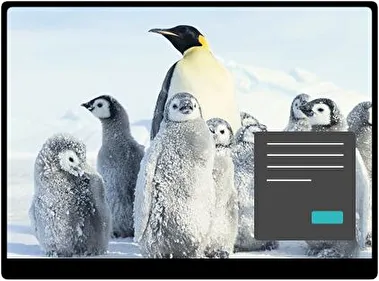 Імператорський пінгвін Темна тема для Windows 11