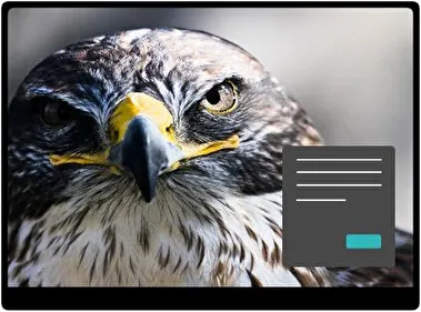 Сокіл Темна тема для Windows 11