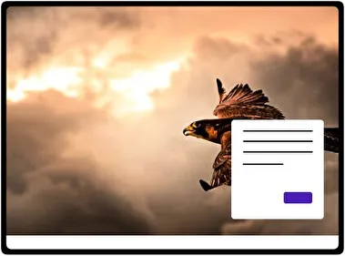 Halcón tema para Windows 11