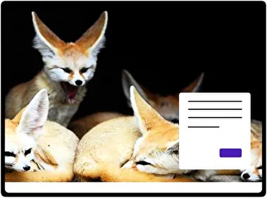 Zorro Fennec tema para Windows 11
