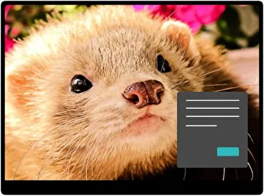 Фретка Темна тема для Windows 11
