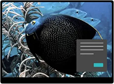 Peces Oscuro tema para Windows 11