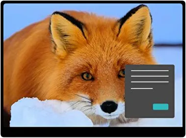 Лисиця Темна тема для Windows 11