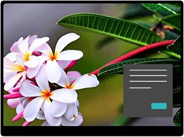 Frangipani Oscuro tema para Windows 11