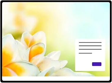 Frangipani tema para Windows 11