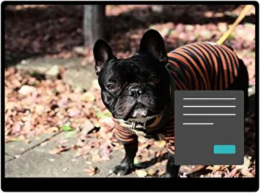Bulldog Francés Oscuro tema para Windows 11