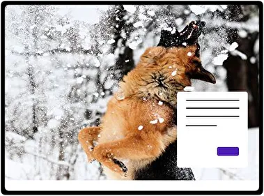 Німецька вівчарка тема для Windows 11