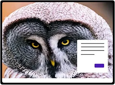 Gran Búho Gris tema para Windows 11