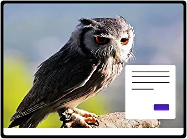 Búho de Anteojos tema para Windows 11